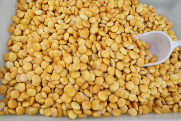 many yellow broad beans also called Vicia faba