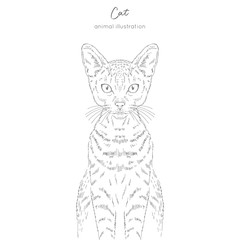 Symmetrical Vector portrait illustration of cat. Hand drawn ink realistic sketching isolated on white. Perfect for logo branding t-shirt coloring book design.