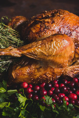Thanksgiving Turkey with Cranberries