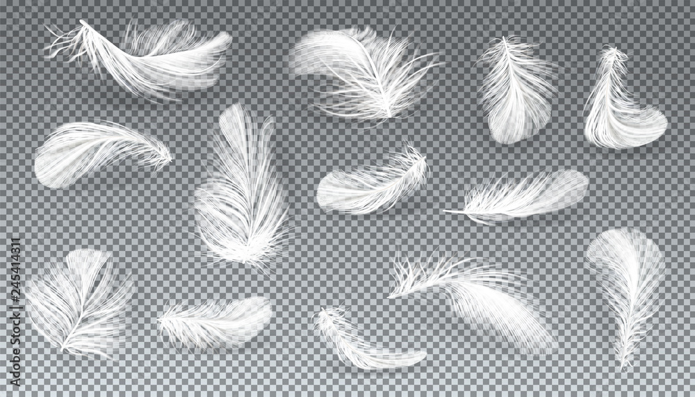 Wall mural vector 3d realistic set of white bird or angel feathers in various shapes, isolated on transparent b
