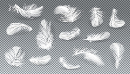 Vector 3d realistic set of white bird or angel feathers in various shapes, isolated on transparent background. Symbol of lightness, literature and poetry. Decoration element, design object