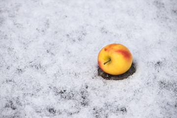 An apple on snow - 245414508