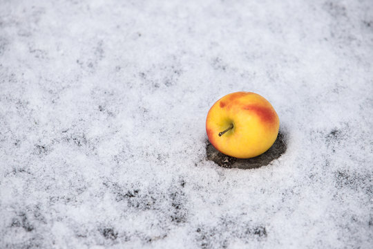 An apple on snow