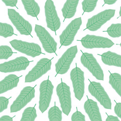 Fototapeta premium ecology leafs plants pattern