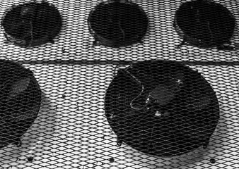 Ventilation fans under protective metal mesh