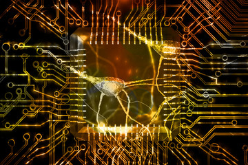 neuronal networks biotechnology neurons circuits bioinformatics neural connections deep learning algorithms artificial intelligence concept 3d rendering