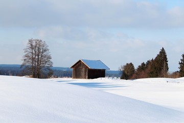 Holzhütte in romantischer Winterlandschaft im hügeligen Alpenvorland, Allgäu, Bayern