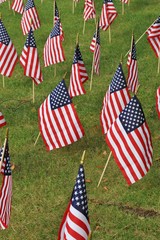 Close-up of small USA Flags in the field