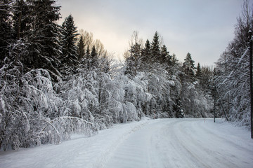 Swedish road with deep snow 