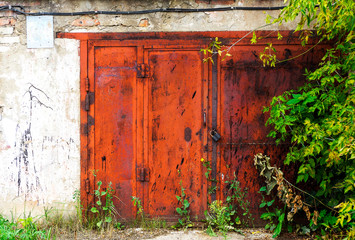 Old grunge metal doors of garage made of bricks with plants grew around on spring summer season vintage retro style