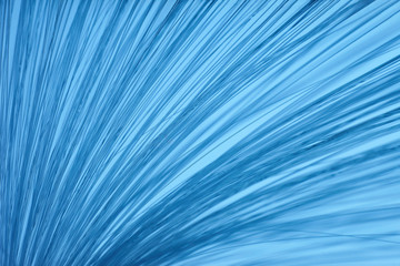 Obraz premium glowing fiber optic arts