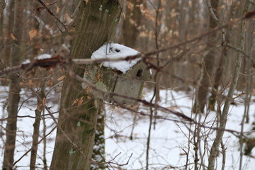 Tierschutz im Wald