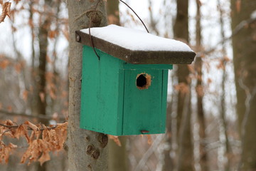 Tierschutz im Wald