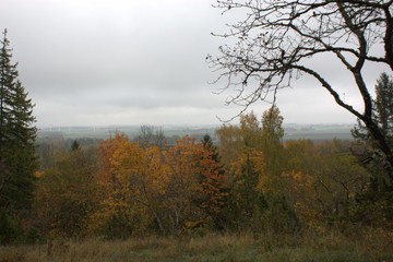 Landscape view