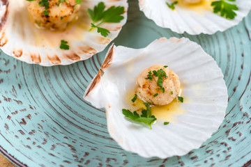 Seared scallops shell with butter, garlic and parsley.