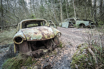 Old cars cemetery in forest