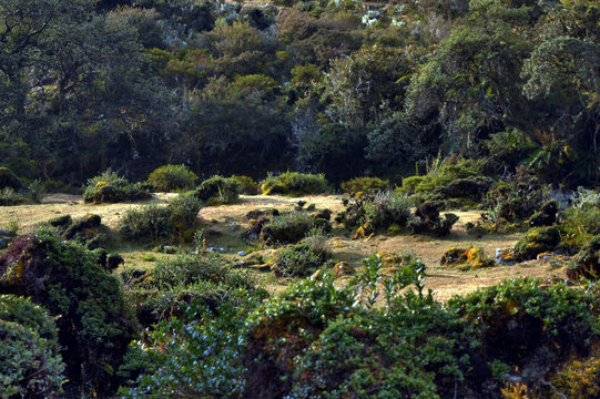Paisaje