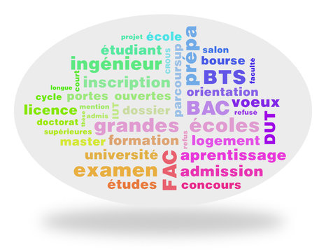 Nuage de mots : Orientation, &eacute;tudes sup&eacute;rieures