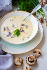 Mushroom soup with cream sour