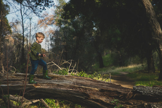 Boy playing on log in forest after rain