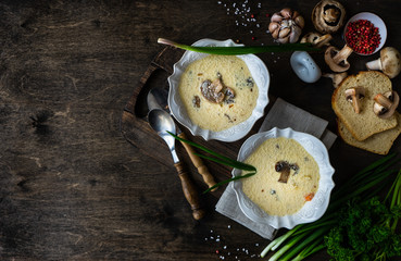 Mushroom soup with cream sour