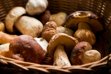 Mountain mushrooms on the wooden background