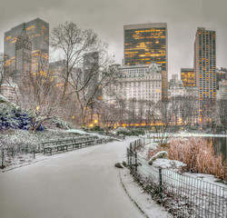 Central Park, New York City in winter