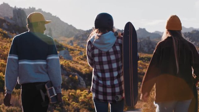 multi ethnic skater friends holding longboards hanging out together enjoying summer vacation longboarding walking on countryside road having conversation rear view