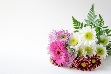 Chrysanthemum mums flower bouquet on white background copy space
