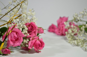 white beautiful little flowers