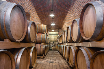 wine barrels in cellar