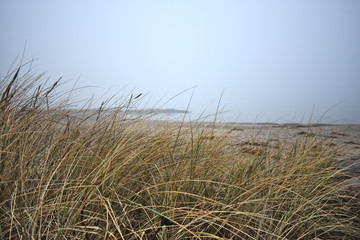 Fototapeta premium Nebliger Morgen am Strand