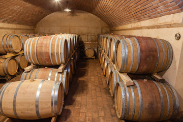 wine barrels in cellar