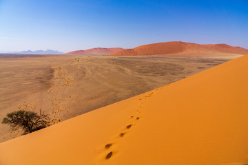 Plakat climbing sand dunes namib namibia