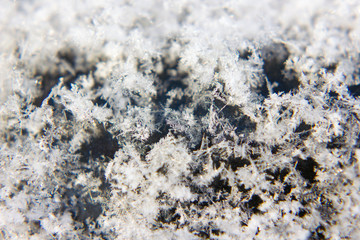 snowflake, frost closeup