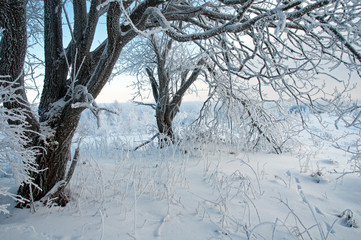 Sunny day in the winter mountains