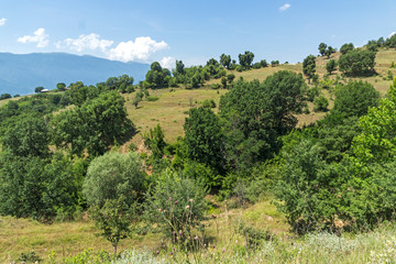 Fototapeta na wymiar Summer Landscape of Ograzhden Mountain, Blagoevgrad Region, Bulgaria