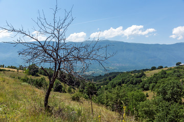 Obraz premium Summer Landscape of Ograzhden Mountain, Blagoevgrad Region, Bulgaria