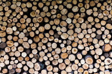 Sawed tree trunks and branches in different sizes, piled up in blue container Wood storage industry. Background of dry chopped firewood logs stacked up on top of each other in a pile.