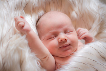 Newborn baby portrait