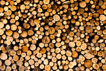 ends of logs wooden background. toning. wood in the stack. - Image