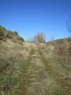 Camino rural