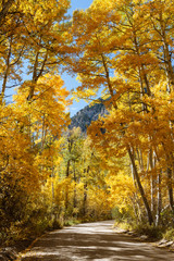 Colorful Colorado Scenic Landscape Beauty