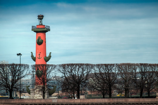 St. Petersburg, Russia.Rastral column behind a strip of trees against a blue sky.
