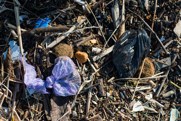 Plastic and litter material on sand beach