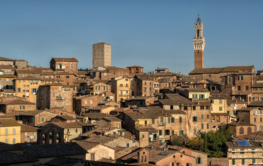 Fototapeta na wymiar Siena, historical Center. View of the beautiful city Siena in october, Italy.