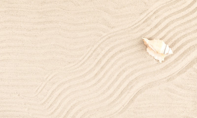 Beach sand texture background. Flat lay, top view, copy space 