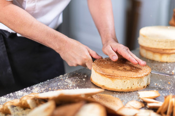 pastry chef cutting the sponge cake on layers. Cake production process .