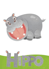 cartoon scene with hippo card on white background with name of animal - illustration for children