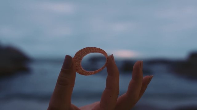 close up of hand holding seashell on cloudy seaside beach